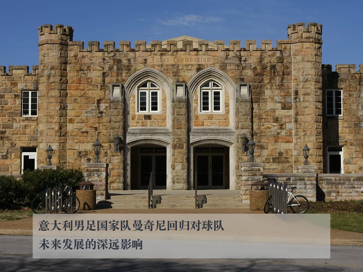 意大利男足国家队曼奇尼回归对球队未来发展的深远影响