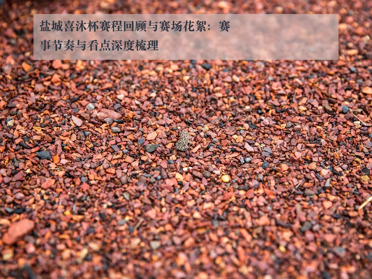 盐城喜沐杯赛程回顾与赛场花絮:赛事节奏与看点深度梳理