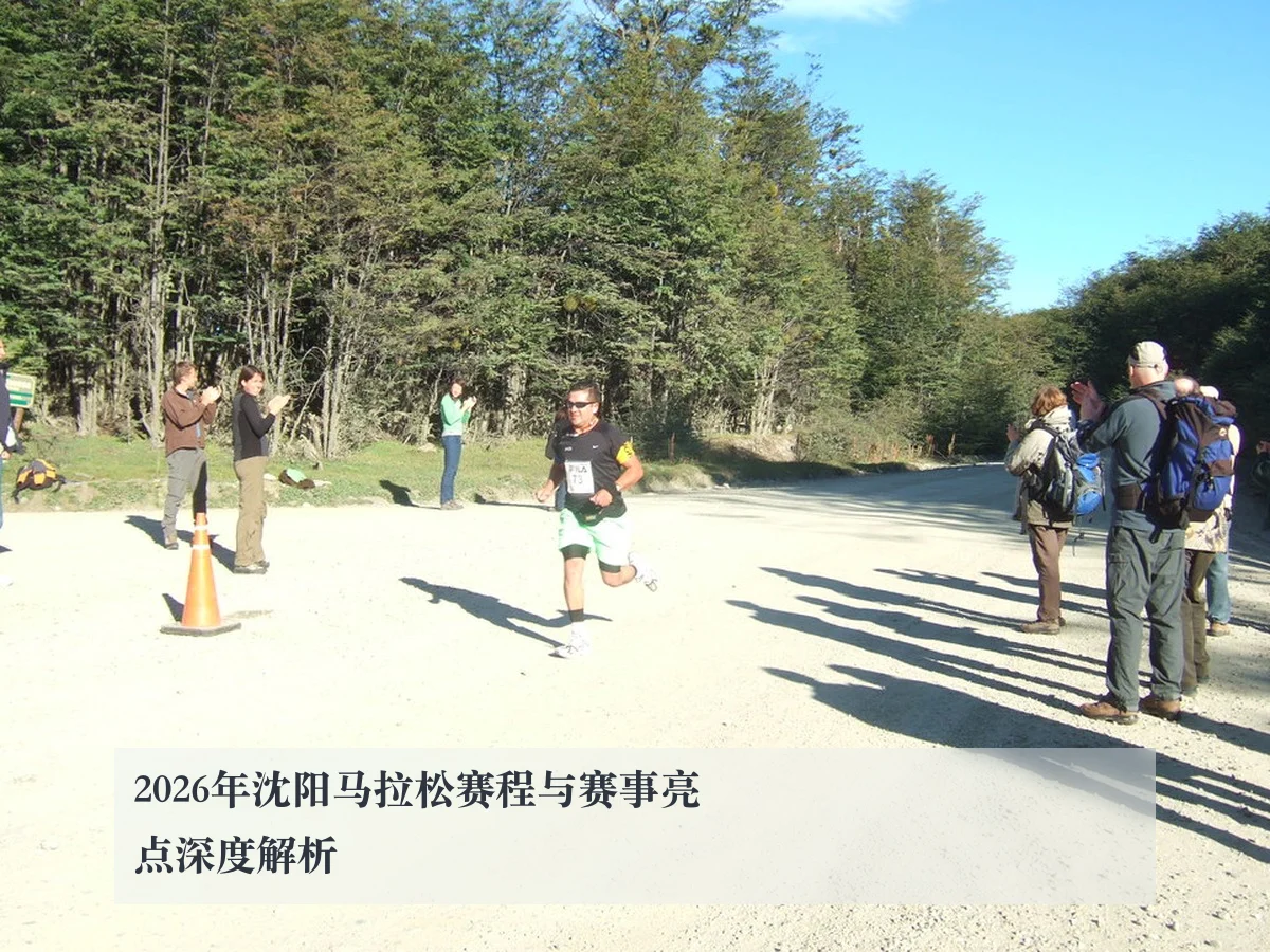 2026年沈阳马拉松赛程与赛事亮点深度解析